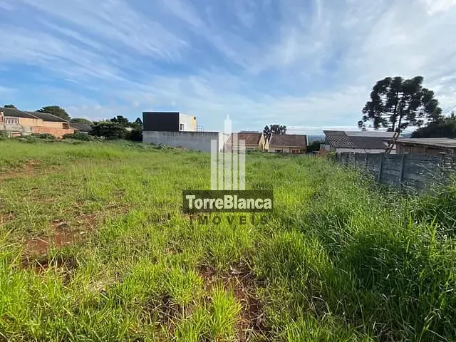 Terreno com 1800m², à venda, no bairro Cará-Cará em Ponta Grossa