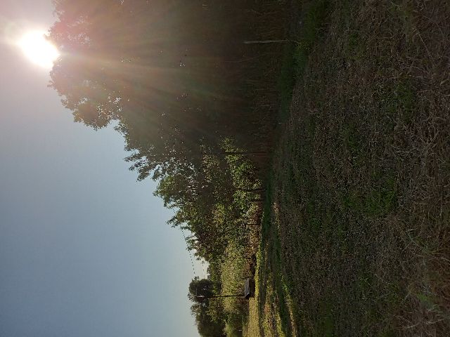 Terreno com 11007m², à venda, no bairro Alto do Cardoso em Pindamonhangaba