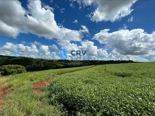 Terreno com 40000m², à venda, no bairro Zona Rural em Ibiporã