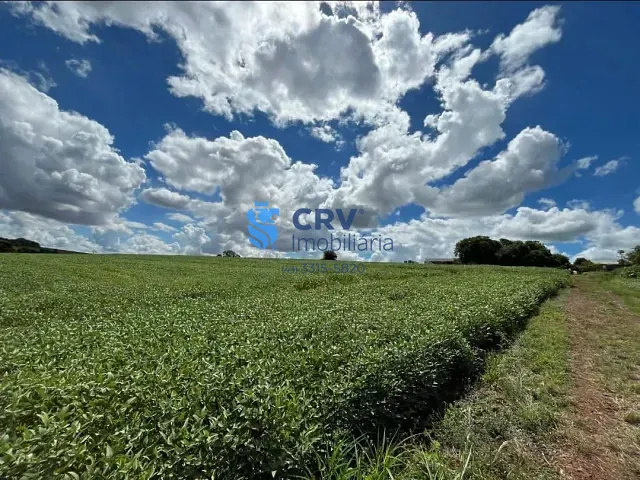 Terreno com 40000m², à venda, no bairro Zona Rural em Ibiporã
