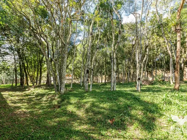 Terreno com 2208m², à venda, no bairro Butiatuvinha em Curitiba