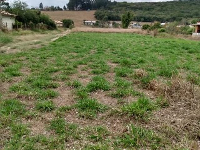 Terreno com 1000m², à venda, no bairro Granjas Rurais Reunidas São Judas Tadeu em Taubaté