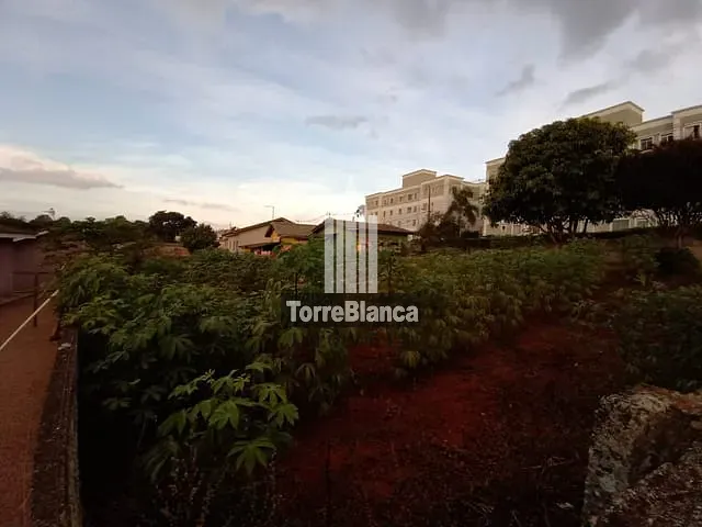 Terreno com 616m², à venda, no bairro Colônia Dona Luiza em Ponta Grossa