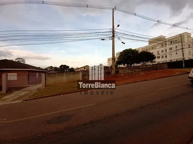 Terreno com 616m², à venda, no bairro Colônia Dona Luiza em Ponta Grossa