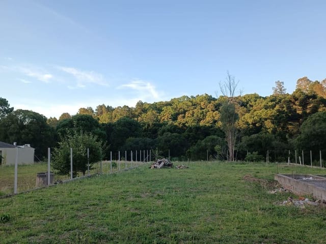 Terreno com 1100m², à venda, no bairro Monte Bérico em Caxias do Sul