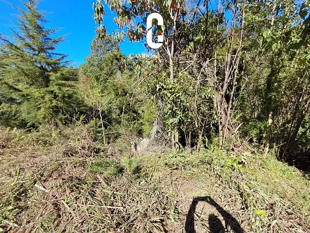 Terreno com 1589m², à venda, no bairro Vila Capivari em Campos do Jordão