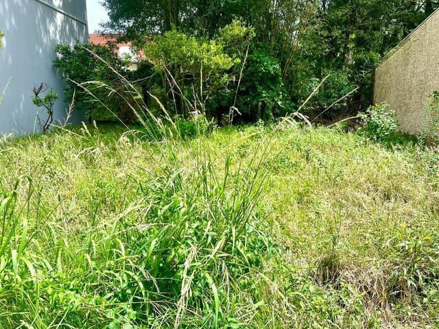 Terreno com 334m², à venda, no bairro Petrópolis em Caxias do Sul