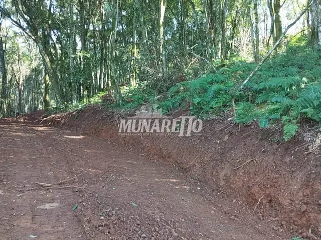 Terreno com 10000m², à venda, no bairro LInha Alto Suruvi em Concórdia