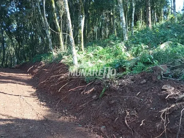 Terreno com 10000m², à venda, no bairro LInha Alto Suruvi em Concórdia