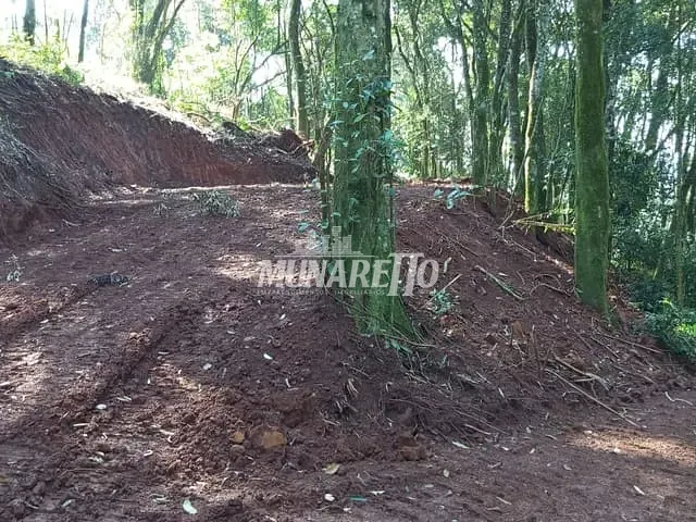 Terreno com 10000m², à venda, no bairro LInha Alto Suruvi em Concórdia