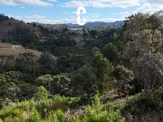 Terreno com 2400m², à venda, no bairro Descansopolis em Campos do Jordão
