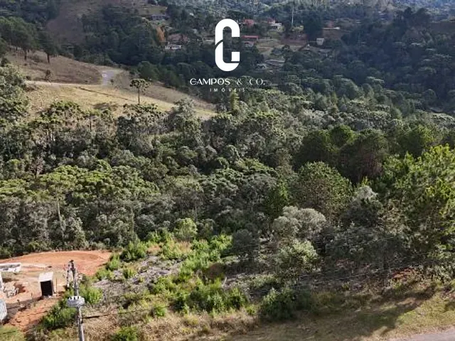 Terreno com 2400m², à venda, no bairro Descansopolis em Campos do Jordão