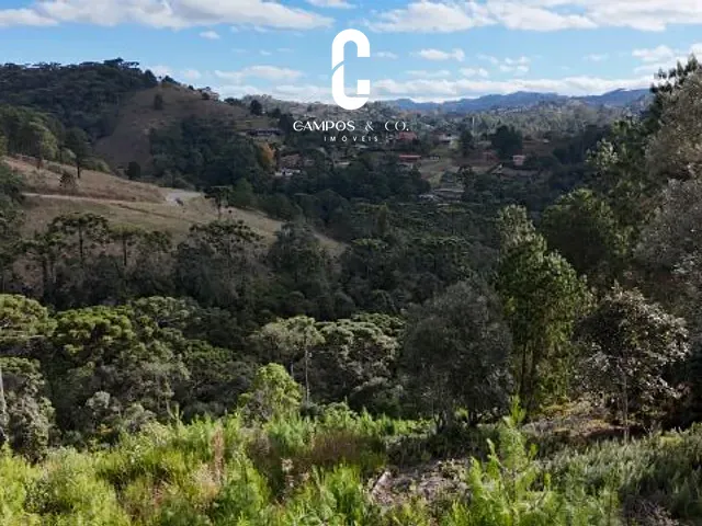 Terreno com 2400m², à venda, no bairro Descansopolis em Campos do Jordão
