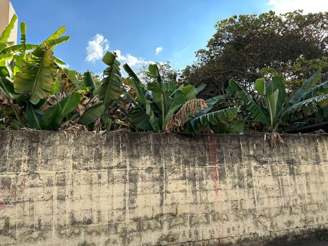 Foto do Terreno - Terreno à venda, 1252 m² por R$ 2.800.000,00 - Jardim Oriente - São José dos Campos/SP | RUSSI IMÓVEIS
