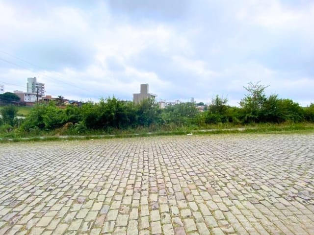 Terreno com 502m², à venda, no bairro Sanvitto em Caxias do Sul