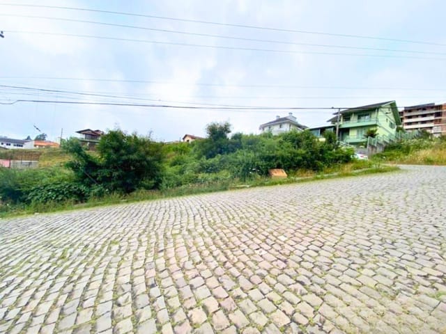 Terreno com 502m², à venda, no bairro Sanvitto em Caxias do Sul