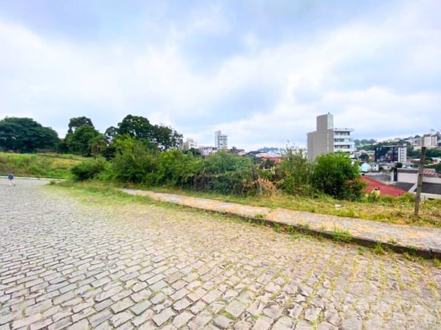 Terreno com 502m², à venda, no bairro Sanvitto em Caxias do Sul