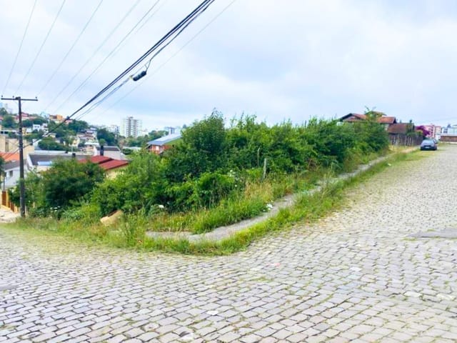 Terreno com 502m², à venda, no bairro Sanvitto em Caxias do Sul
