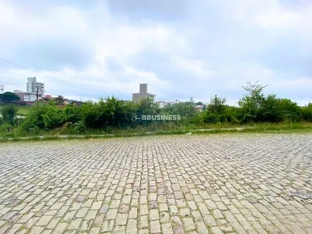 Terreno com 502m², à venda, no bairro Sanvitto em Caxias do Sul