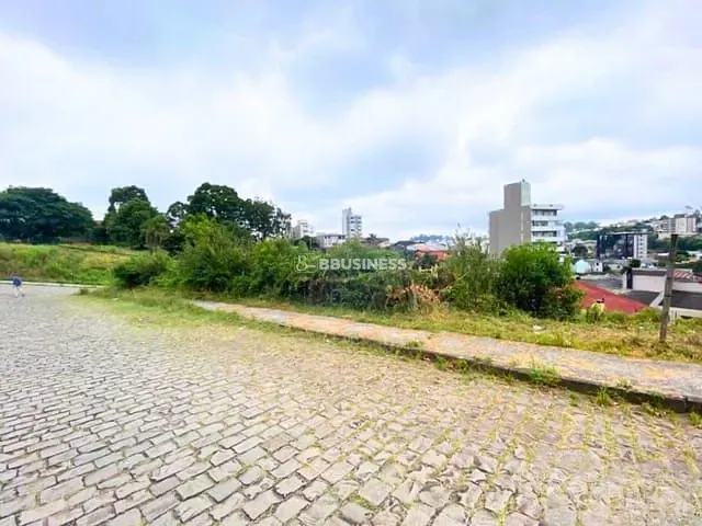 Terreno com 502m², à venda, no bairro Sanvitto em Caxias do Sul