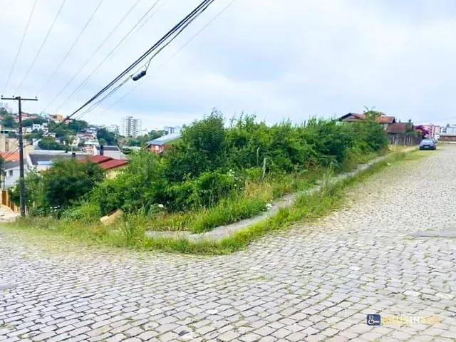 Terreno com 502m², à venda, no bairro Sanvitto em Caxias do Sul