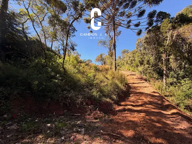 Terreno com 2278m², à venda, no bairro Jardim das Flores em Campos do Jordão