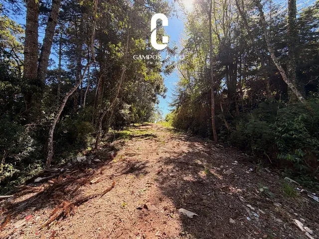 Terreno com 2278m², à venda, no bairro Jardim das Flores em Campos do Jordão