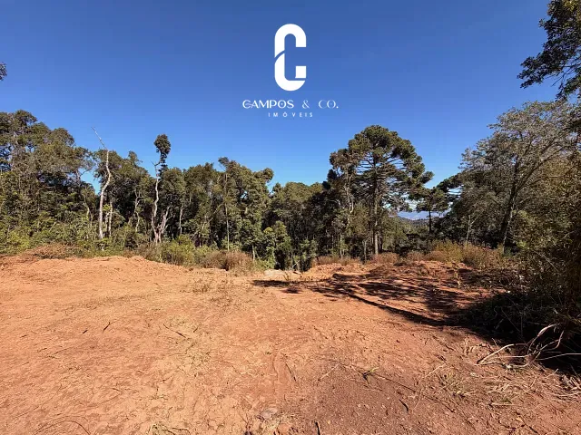 Terreno com 2278m², à venda, no bairro Jardim das Flores em Campos do Jordão