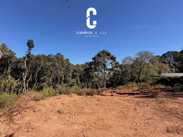 Terreno com 2278m², à venda, no bairro Jardim das Flores em Campos do Jordão