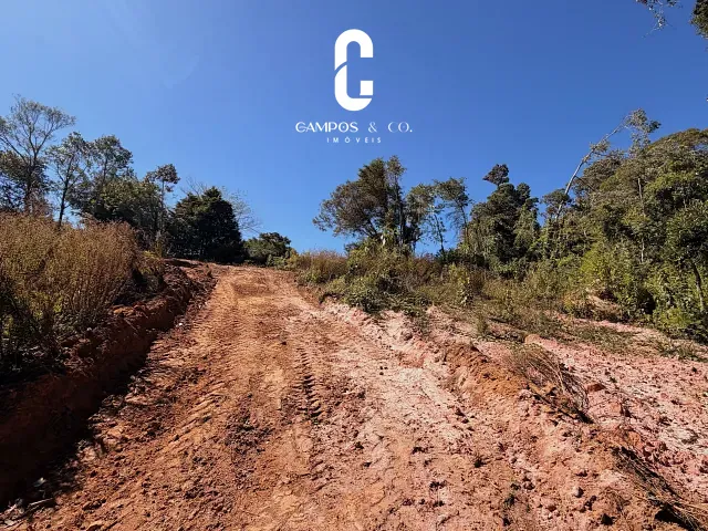 Terreno com 2278m², à venda, no bairro Jardim das Flores em Campos do Jordão