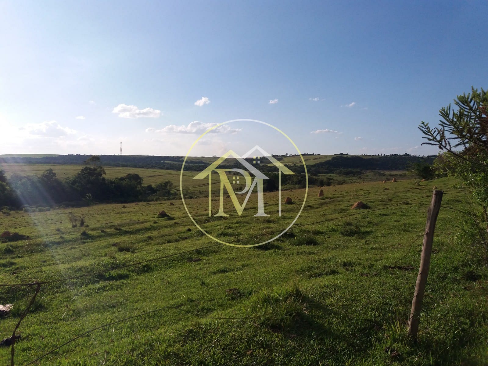 Terreno, 28 hectares - Foto 3