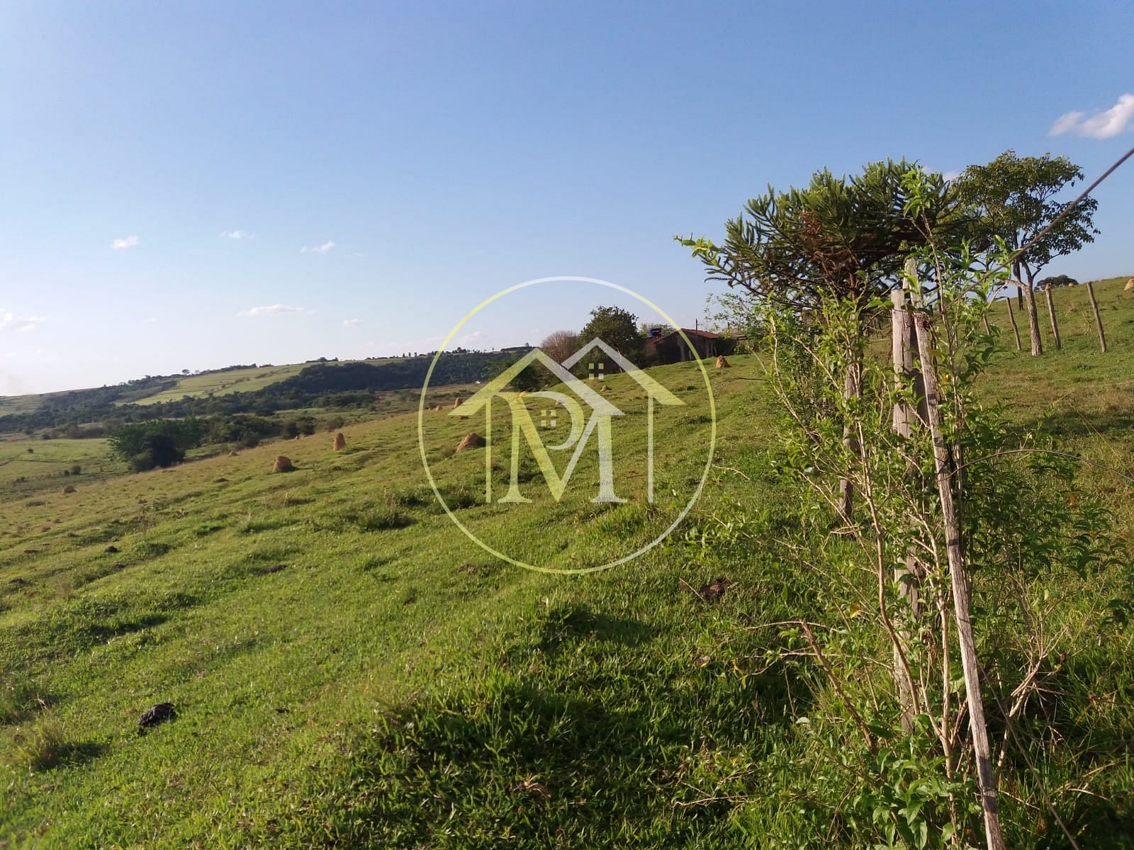 Terreno, 28 hectares - Foto 5