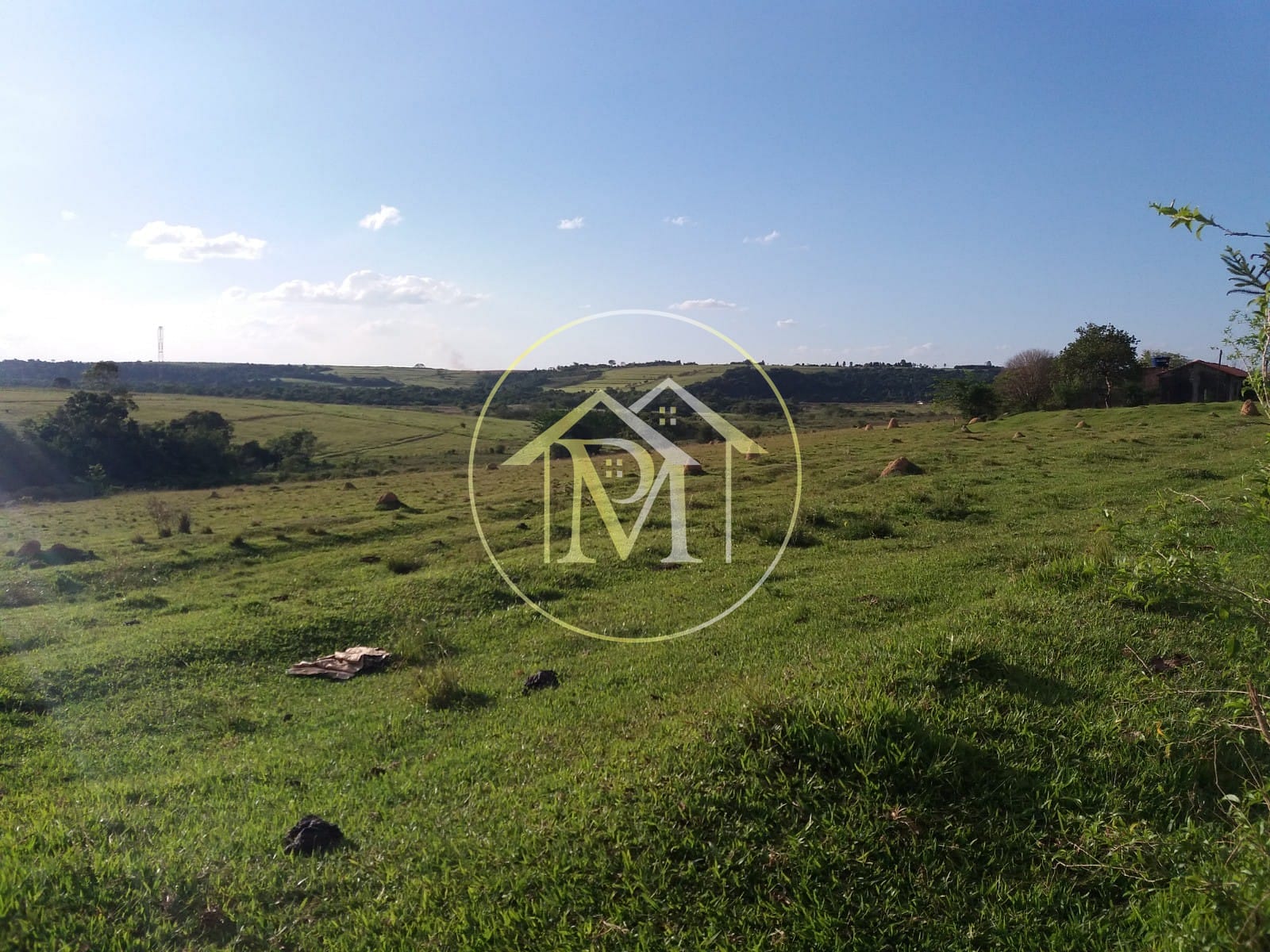 Terreno, 28 hectares - Foto 9