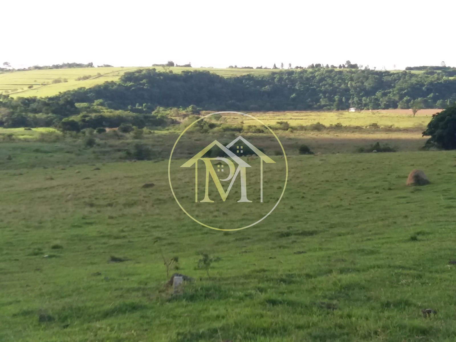 Terreno, 28 hectares - Foto 17