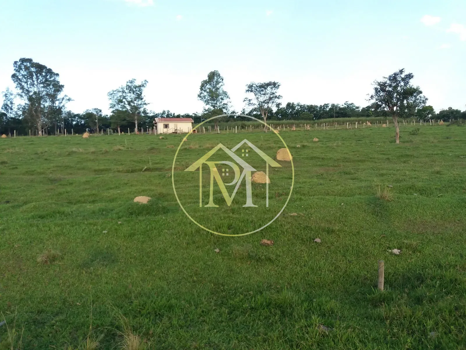 Terreno, 28 hectares - Foto 22