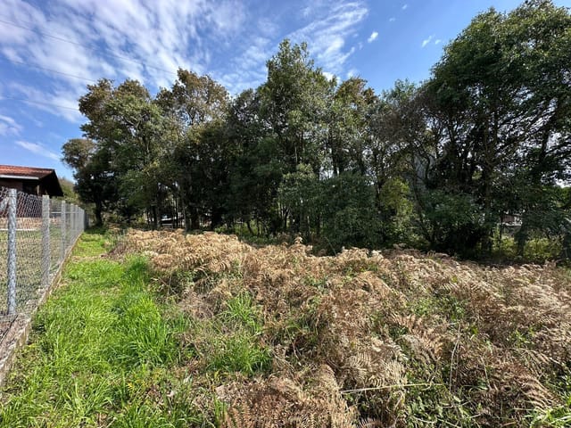 Terreno com 660m², à venda, no bairro São Luiz em Caxias do Sul