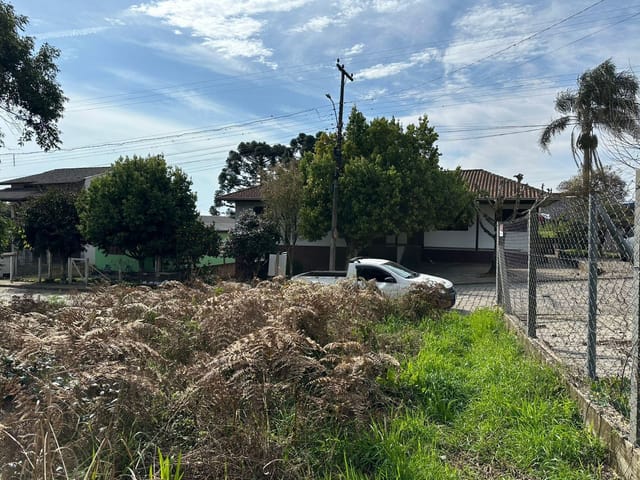 Terreno com 660m², à venda, no bairro São Luiz em Caxias do Sul