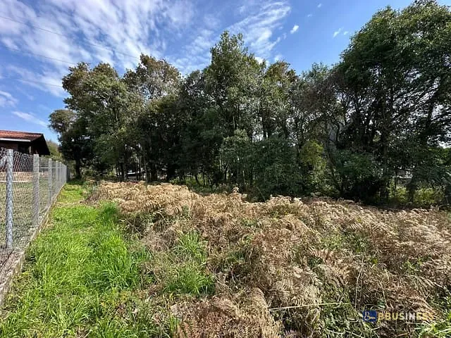Terreno com 660m², à venda, no bairro São Luiz em Caxias do Sul