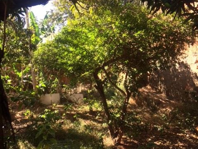 Foto do Terreno - Terreno à venda, 396 m² por R$ 400.000,00 - Nossa Senhora da Abadia - Uberaba/MG | ZUCATO IMOBILIARIA LTDA