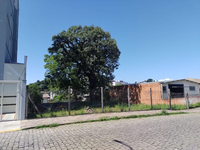 Terreno com 728m², à venda, no bairro Presidente Vargas em Caxias do Sul