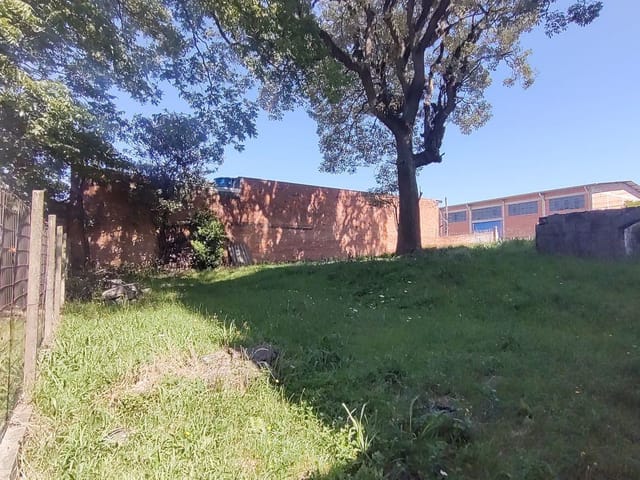 Terreno com 728m², à venda, no bairro Presidente Vargas em Caxias do Sul