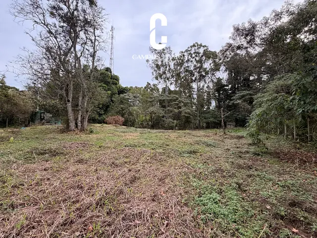 Terreno com 181000m², à venda, no bairro Barreiro em Santo Antônio do Pinhal