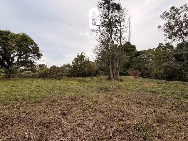 Terreno com 181000m², à venda, no bairro Barreiro em Santo Antônio do Pinhal