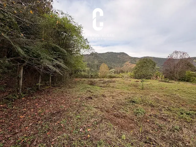 Terreno com 181000m², à venda, no bairro Barreiro em Santo Antônio do Pinhal