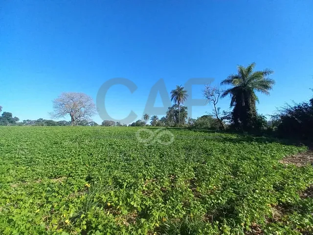 Terreno com 48200m², à venda, no bairro Distrito Industrial em Santo Antônio de Posse