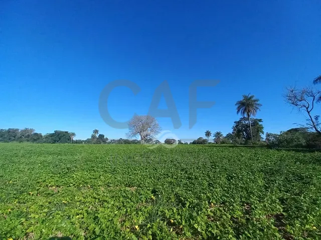 Terreno com 48200m², à venda, no bairro Distrito Industrial em Santo Antônio de Posse