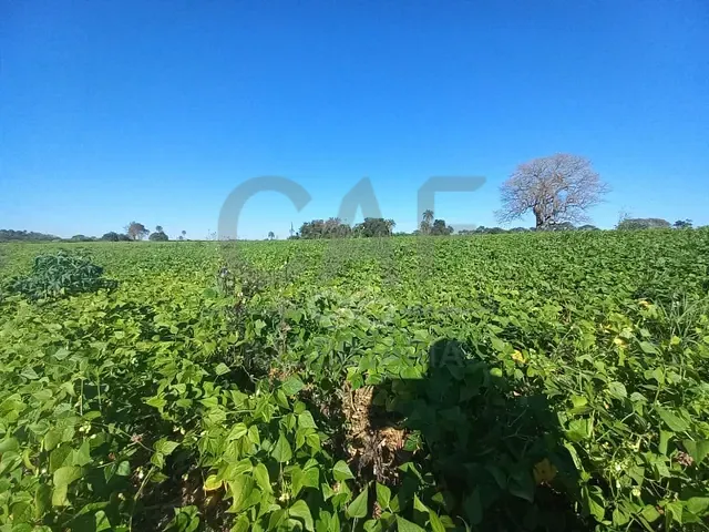 Terreno com 48200m², à venda, no bairro Distrito Industrial em Santo Antônio de Posse