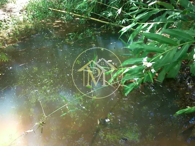 Terreno com 20000m², à venda, no bairro Vila Sottemo em Itapetininga