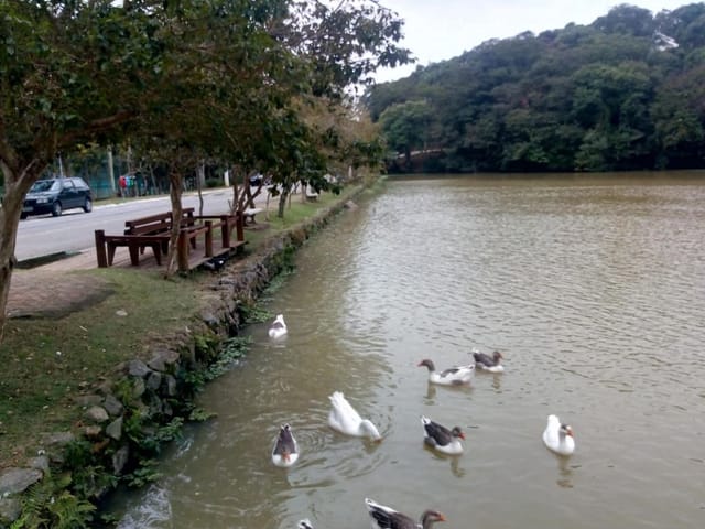 Foto do Terreno - Terreno à venda, 515 m² por R$ 300.000 - Jardim Atalaia - Cotia/SP | Pitale Imóveis Ltda.