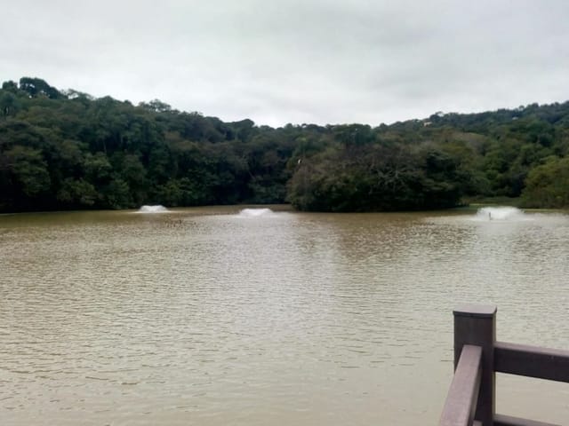 Foto do Terreno - Terreno à venda, 515 m² por R$ 300.000 - Jardim Atalaia - Cotia/SP | Pitale Imóveis Ltda.